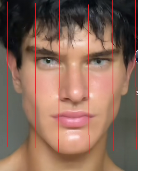 zeta facial fifths.png