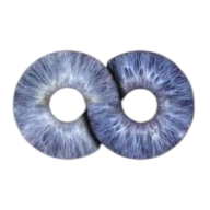 Personal consultations